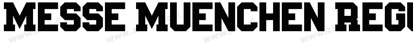 Messe Muenchen Regul字体转换